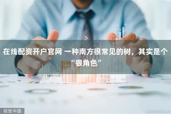 在线配资开户官网 一种南方很常见的树，其实是个“狠角色”