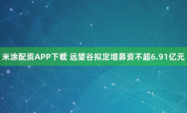 米涂配资APP下载 远望谷拟定增募资不超6.91亿元