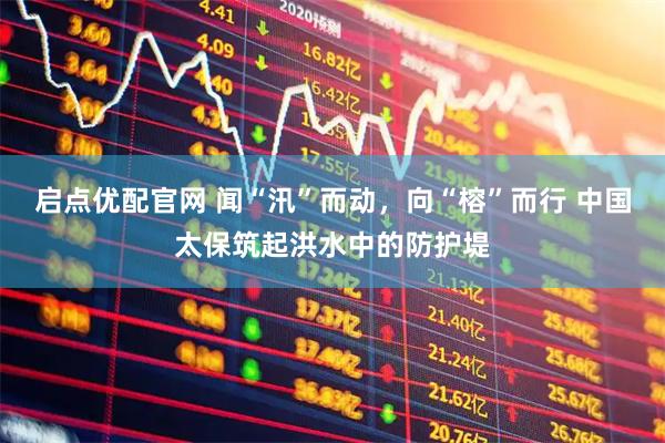 启点优配官网 闻“汛”而动，向“榕”而行 中国太保筑起洪水中的防护堤