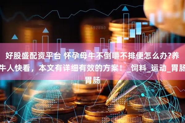好股盛配资平台 怀孕母牛不倒嚼不排便怎么办?养牛人快看，本文有详细有效的方案！_饲料_运动_胃肠