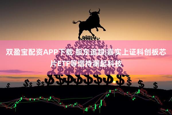 双盈宝配资APP下载 股东追踪|嘉实上证科创板芯片ETF等增持澜起科技