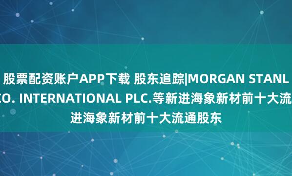 股票配资账户APP下载 股东追踪|MORGAN STANLEY & CO. INTERNATIONAL PLC.等新进海象新材前十大流通股东