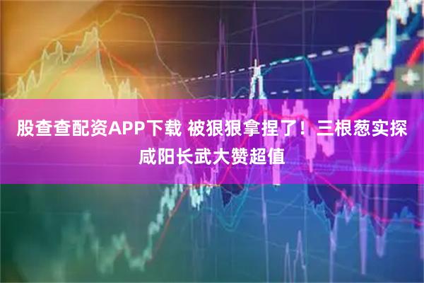 股查查配资APP下载 被狠狠拿捏了！三根葱实探咸阳长武大赞超值